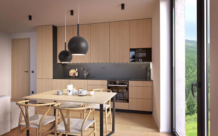 Prodej bytu 2+kk, Dolní Morava, 54 m2