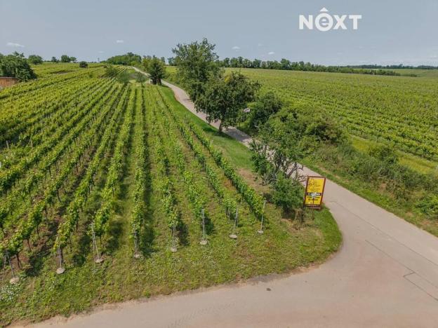 Prodej sadu/vinice, Prušánky, 2318 m2