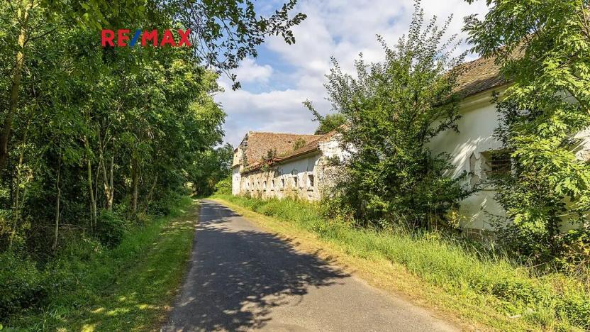 Prodej zemědělské usedlosti, Počedělice, 2500 m2