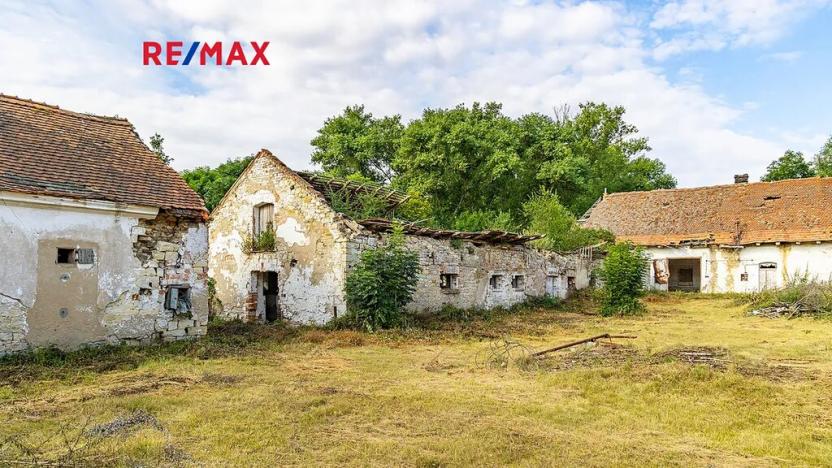 Prodej zemědělské usedlosti, Počedělice, 2500 m2