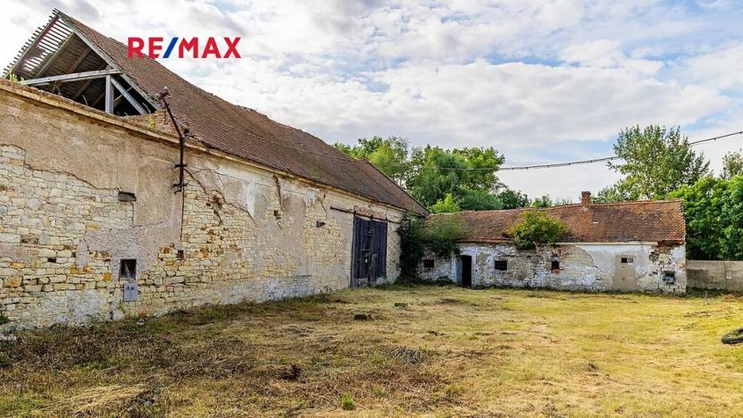 Prodej zemědělské usedlosti, Počedělice, 2500 m2