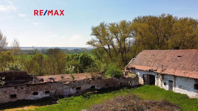 Prodej zemědělské usedlosti, Počedělice, 2500 m2