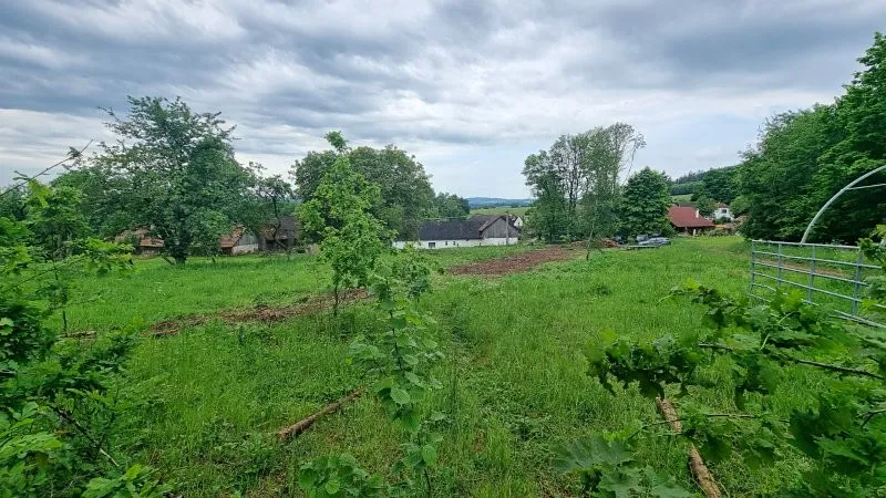 Prodej pozemku pro bydlení, Rohozná, 3818 m2