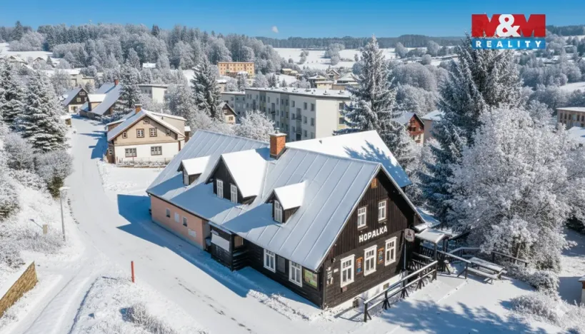 Prodej ubytování, Rokytnice nad Jizerou - Horní Rokytnice, 374 m2