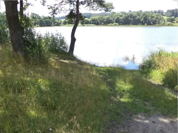 Dražba pozemku, Lipí, 480 m2