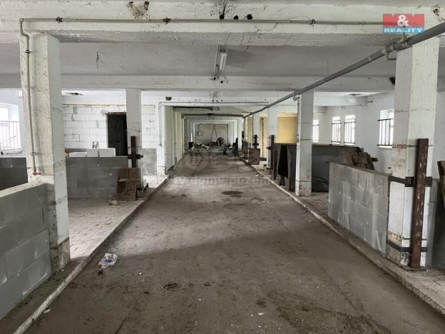 Pronájem skladu, Dešenice, 1320 m2