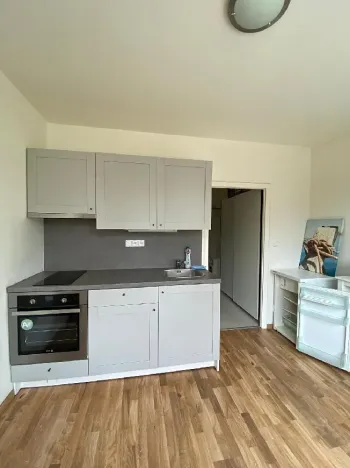 Pronájem bytu 1+1, Praha - Žižkov, Pod lipami, 38 m2