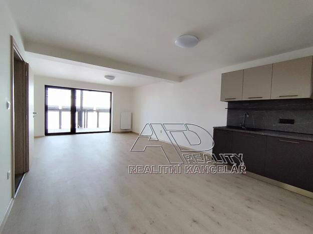 Pronájem bytu 2+kk, České Budějovice, Fráni Šrámka, 65 m2