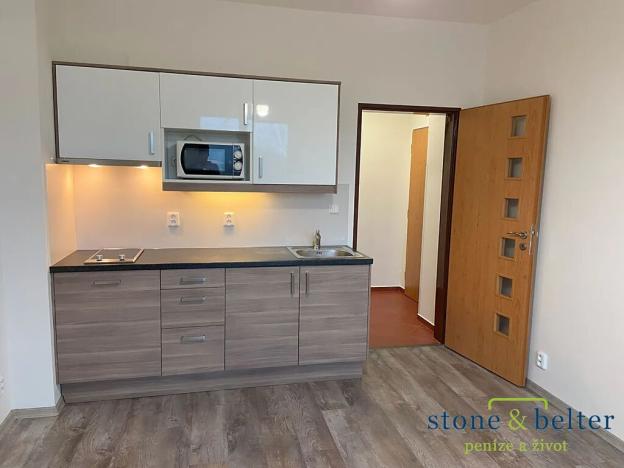 Pronájem bytu 1+kk, Praha - Michle, Hadovitá, 20 m2