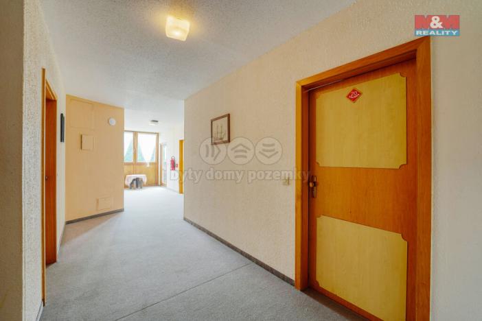 Prodej bytu 2+kk, Železná Ruda - Alžbětín, 55 m2