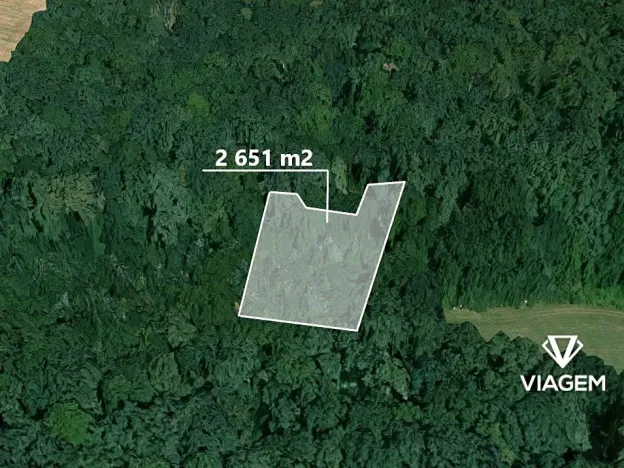 Prodej podílu lesa, Přerov nad Labem, 1325 m2
