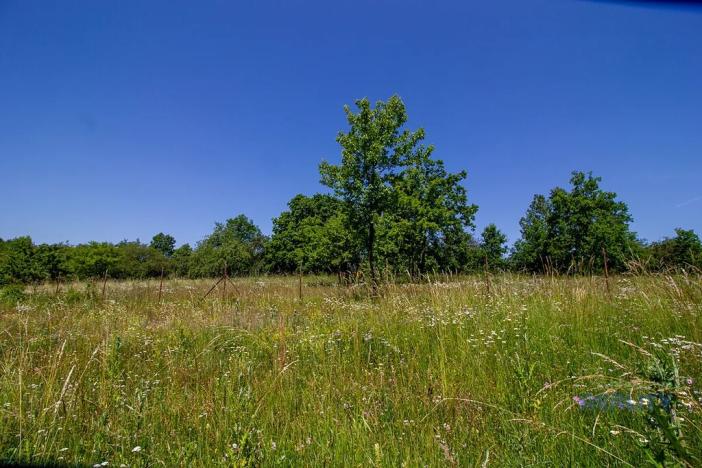 Prodej komerčního pozemku, Praha - Dolní Chabry, 10599 m2