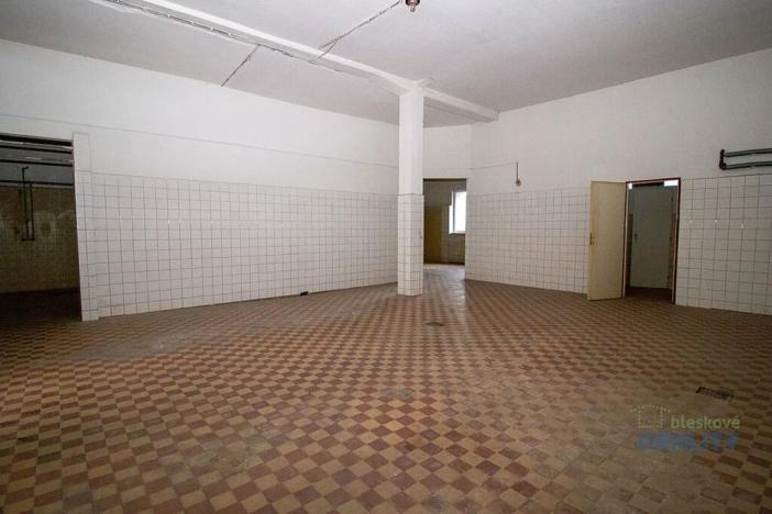 Pronájem obchodního prostoru, Brandýs nad Labem-Stará Boleslav, 826 m2