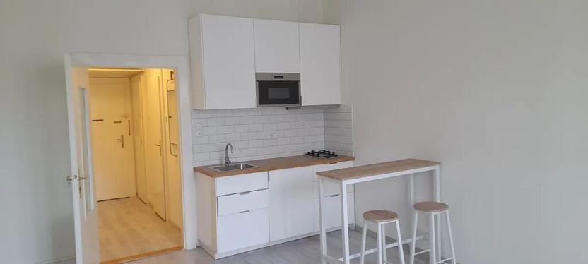 Pronájem bytu 1+kk, Praha - Nusle, V zálomu, 30 m2