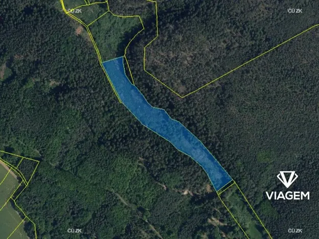 Prodej podílu lesa, Kněžmost, 2803 m2