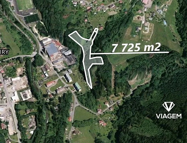 Prodej podílu lesa, Velké Hamry, 7725 m2