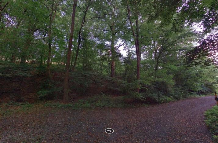 Prodej podílu pozemku, Šarovy, 5948 m2