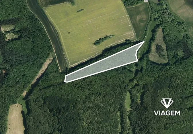 Prodej podílu lesa, Nedachlebice, 939 m2