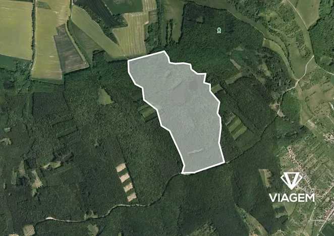 Prodej podílu lesa, Nedachlebice, 11622 m2