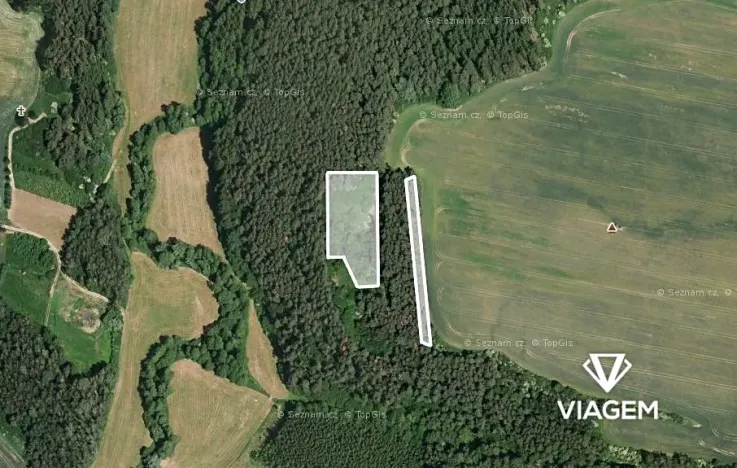 Prodej lesa, Libež, 3360 m2