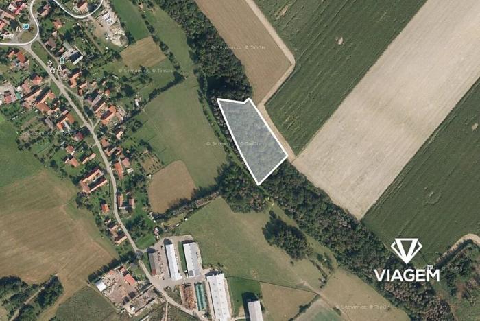 Prodej podílu lesa, Řepníky, 4900 m2