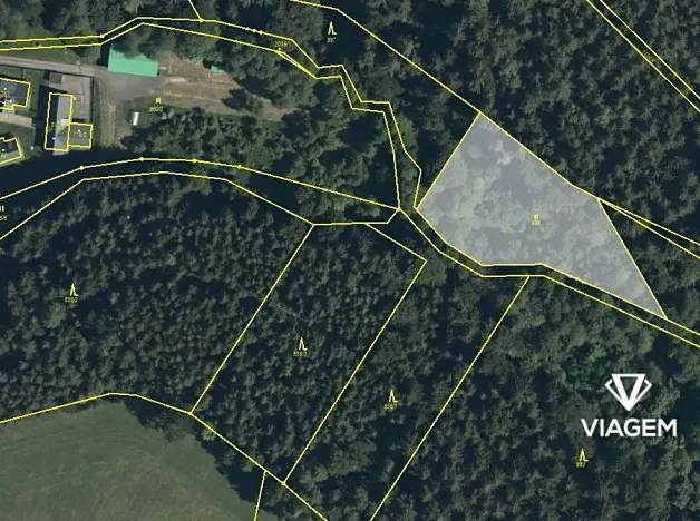Prodej podílu lesa, Těchonín, 441 m2