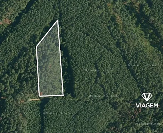 Prodej podílu lesa, Vlastiboř, 1170 m2