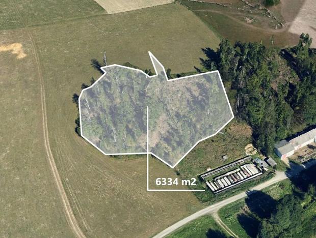 Prodej podílu lesa, Oborná, 10120 m2