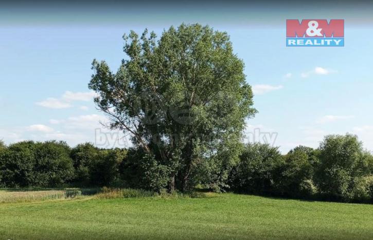 Prodej lesa, Unhošť, 3111 m2