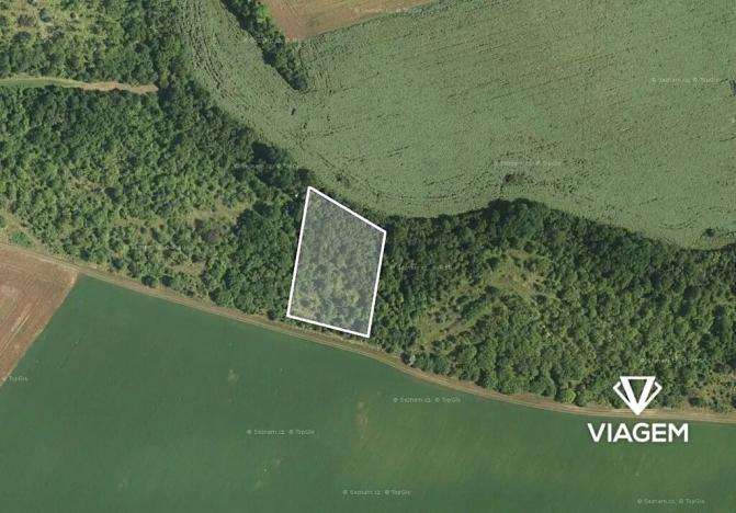 Prodej podílu zahrady, Šitbořice, 878 m2