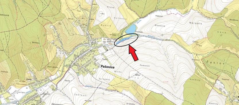 Prodej podílu louky, Pašovice, 1590 m2