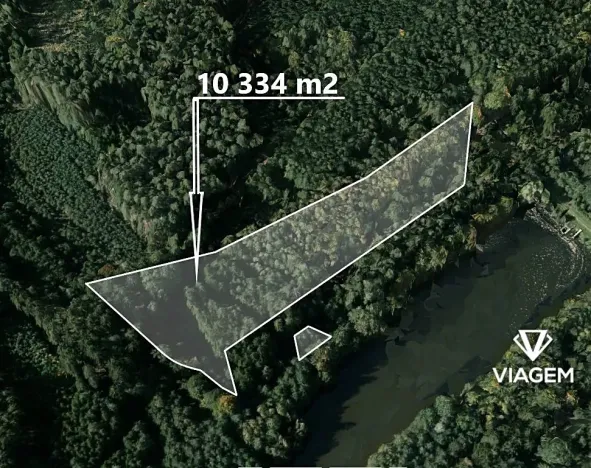 Prodej lesa, Veliny, 10334 m2