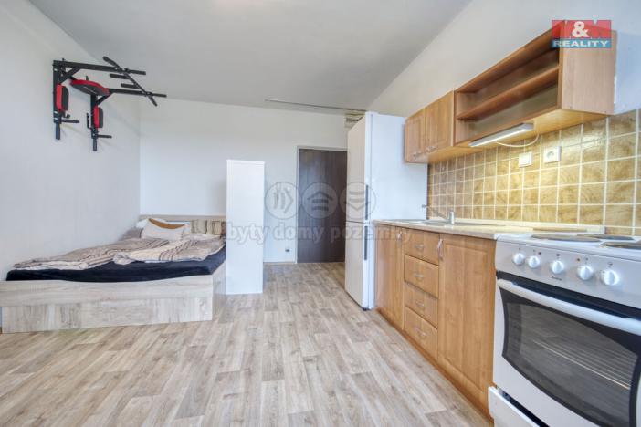 Pronájem bytu 1+kk, Plzeň - Litice, Klatovská, 25 m2