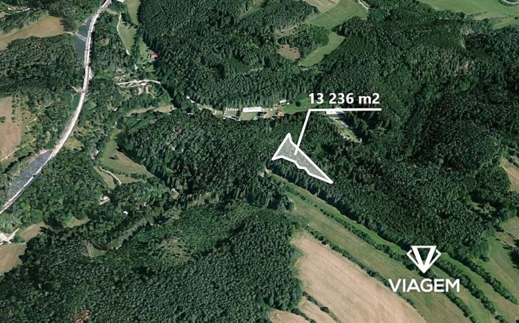 Prodej podílu lesa, Kuřimská Nová Ves, 4412 m2