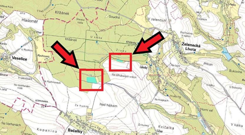 Prodej lesa, Bačalky, 21180 m2