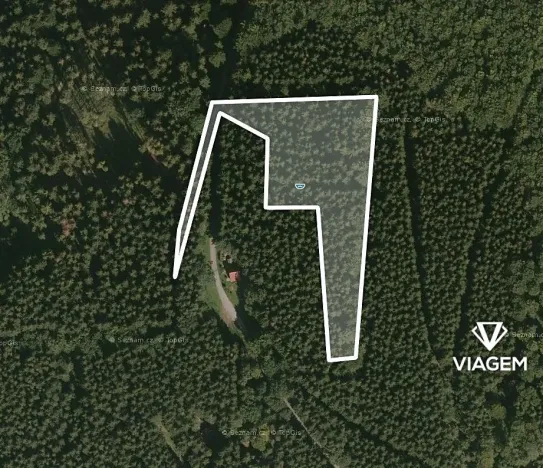 Prodej podílu lesa, Morávka, 4190 m2