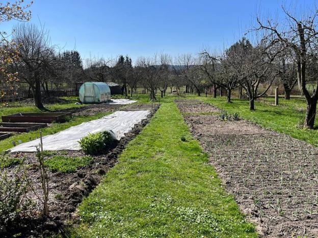 Prodej rodinného domu, Orlické Podhůří, 267 m2