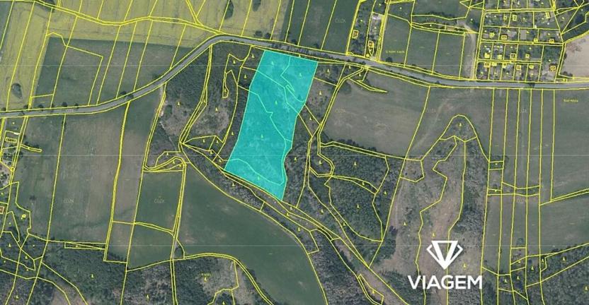 Prodej lesa, Velké Meziříčí, 18631 m2