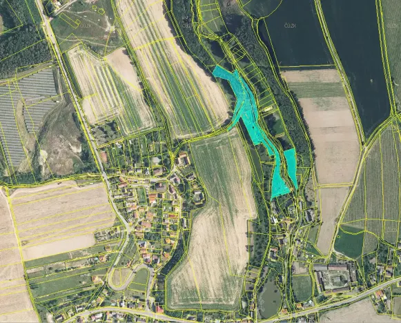 Prodej lesa, Velký Třebešov, 1090 m2