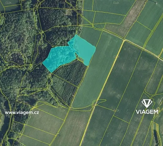 Prodej podílu lesa, Vševily, 1467 m2