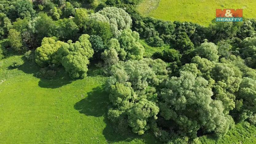 Prodej louky, Spálené Poříčí, 13461 m2