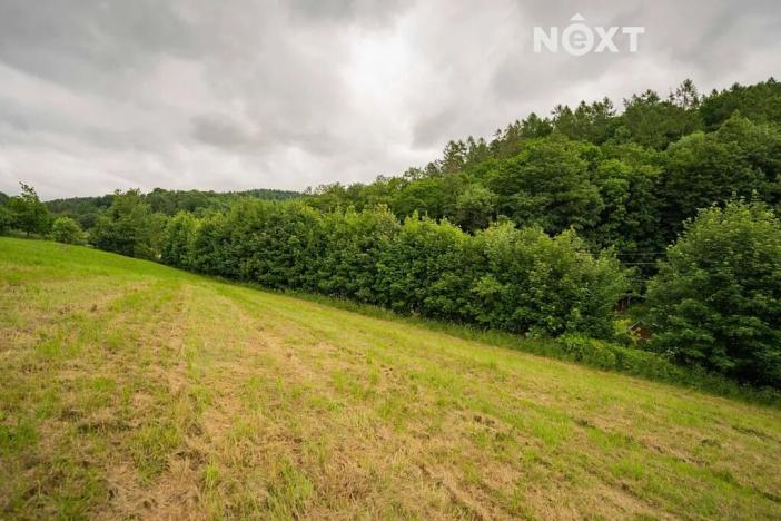 Prodej pozemku pro bydlení, Bratrušov, 2853 m2