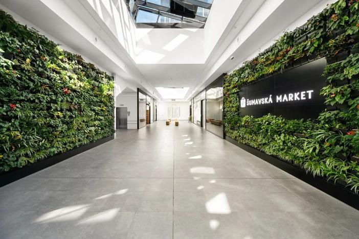 Pronájem kanceláře, Brno, Šumavská, 274 m2