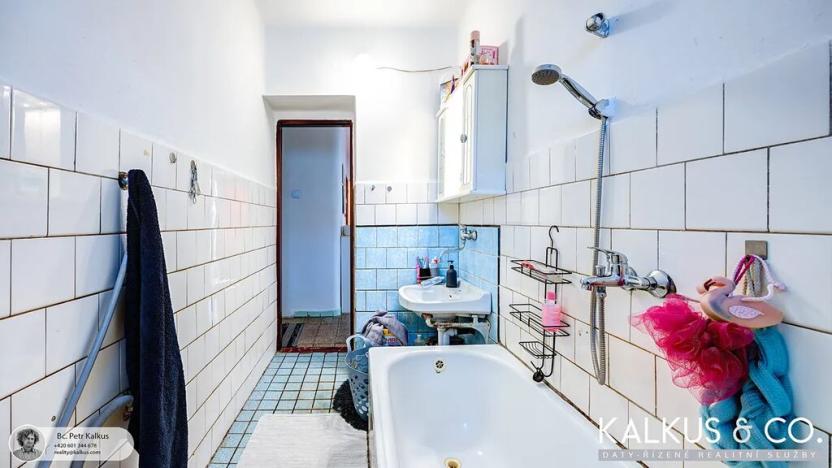 Prodej zemědělské usedlosti, Hřibojedy, 112 m2