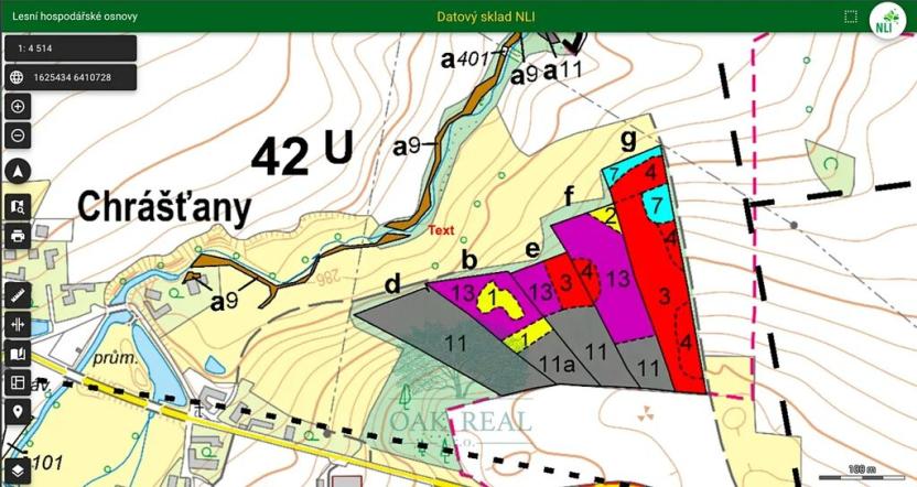 Prodej lesa, Chrášťany, 9048 m2