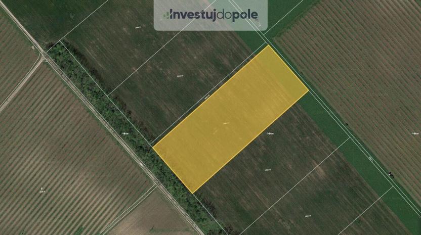 Prodej pole, Lednice, 1310 m2