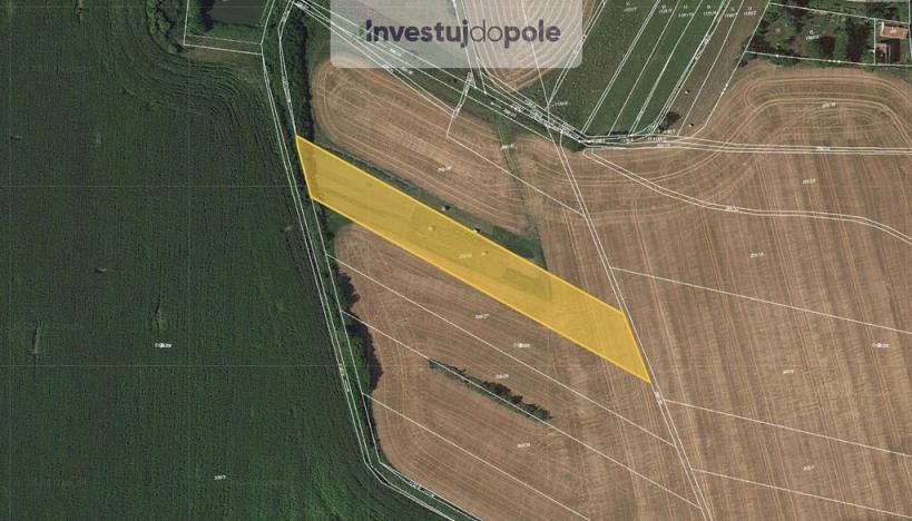 Prodej pole, Dětenice - Brodek, 5142 m2