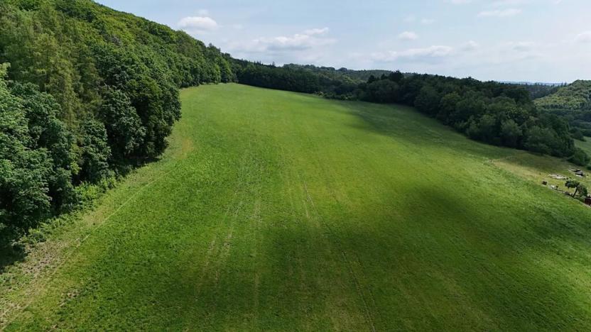 Prodej podílu zemědělské usedlosti, Bradlecká Lhota, 394 m2