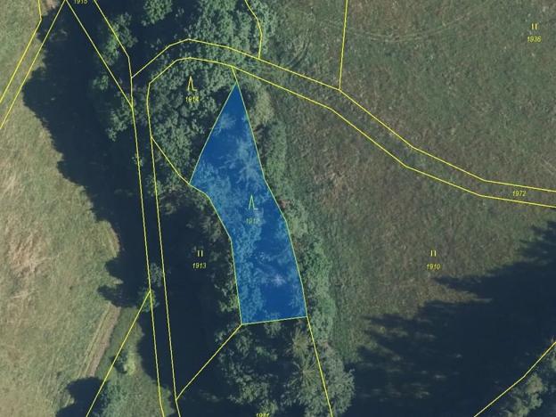 Prodej louky, Zdobín, 145881 m2