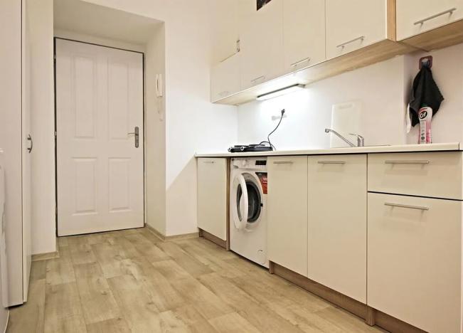 Pronájem bytu 1+kk, Brno, Koliště, 24 m2